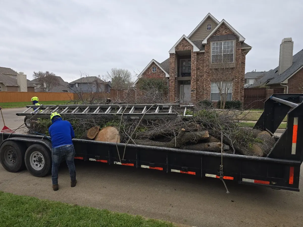 Expert Tree Pest Control with proper safety equipment in Seven Springs